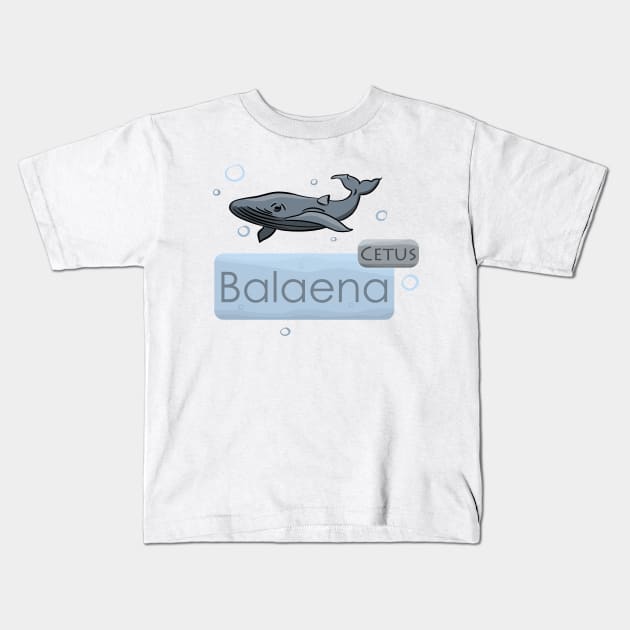 Whale Cetus Balaena Kids T-Shirt by ModManner